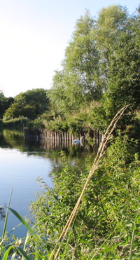 [An image showing Young Wives Stroll Beside the Water]