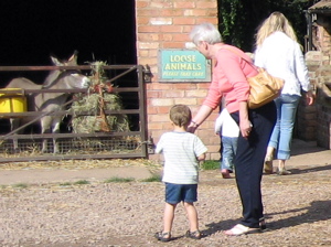 [An image showing Annual Treat at Stonehurst Farm]